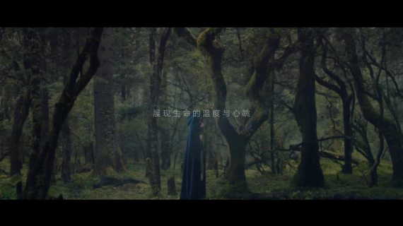 拉普达木纹