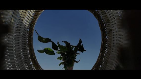 海南白沙陨坑茶宣传视频