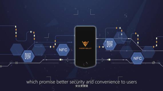 cherrywallet MG动画