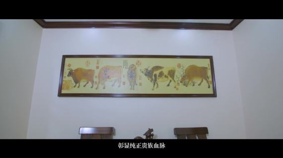 瑞丰名郡宣传片