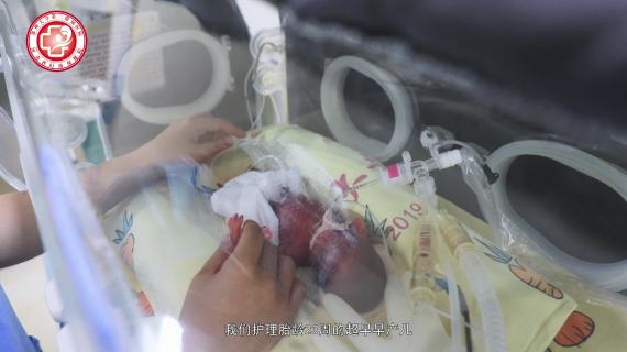 新生儿专科专题片