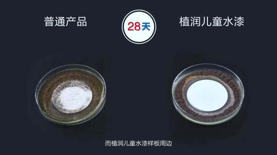 抗菌实验宣传片