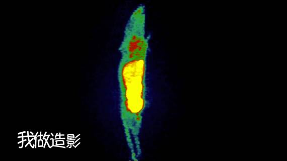 院庆视频
