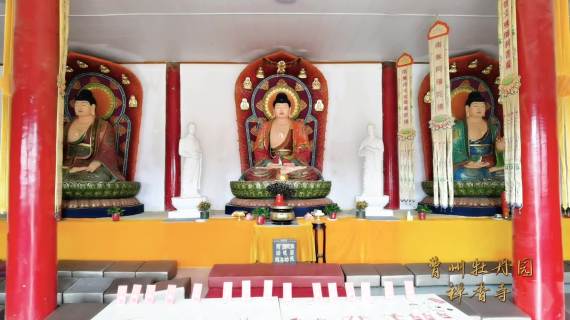曹州牡丹园禅香寺