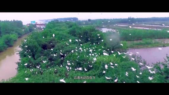 漳河国家湿地公园宣传片