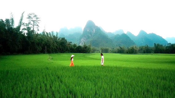 我愿意 MV