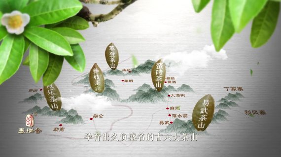 茶剪辑15秒1