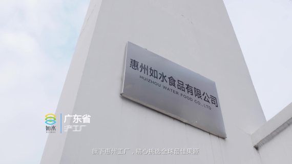 如水坚果企业工厂宣传片