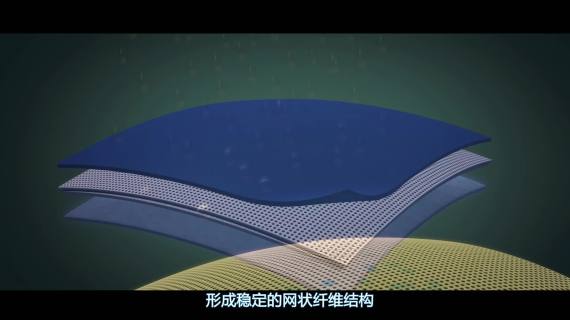 防水正片
