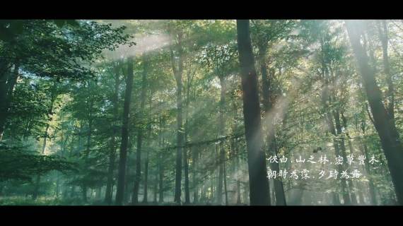 吉大一院疑难杂症病例讨论会