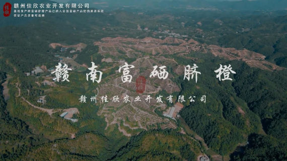 宣传片 果园  赣州佳欣富硒脐橙基地