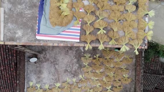 香米成片