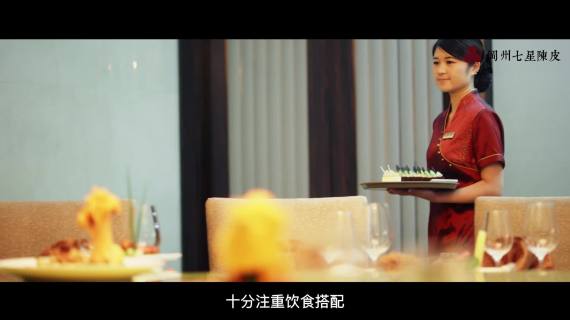 江门七星陈皮企业宣传片