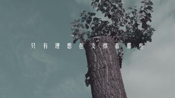 创意短片vlog