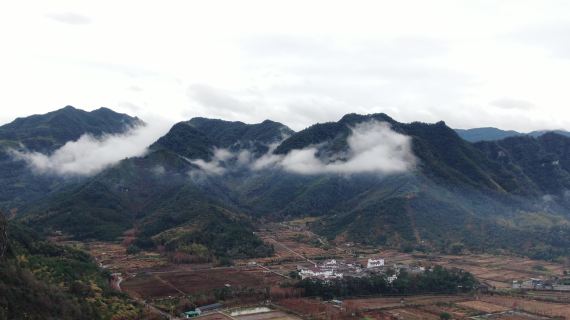 天台后岸村