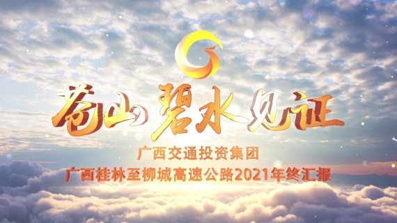 任何视频制作