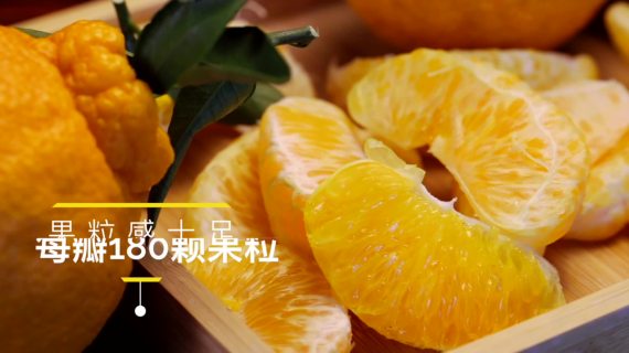 橙子广告
