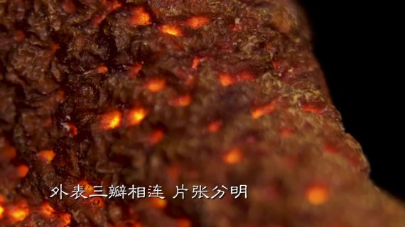 梅江陈皮