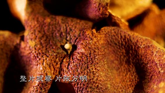 天马陈皮
