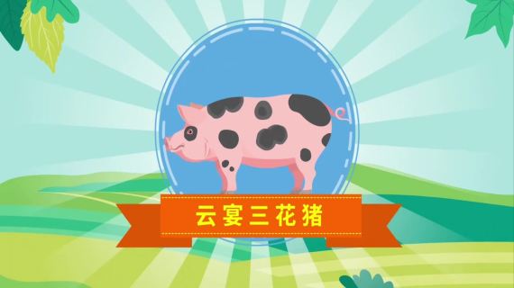 MG动画特效