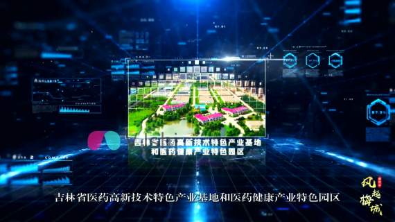 政府类型
