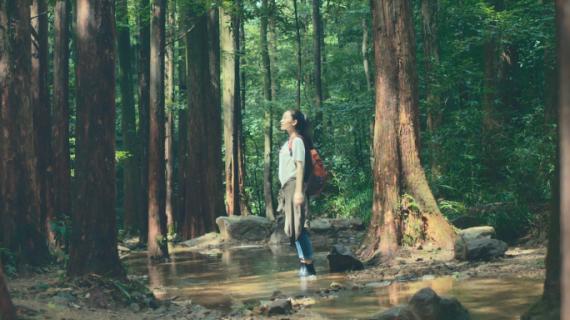 女生登山短款（电商）