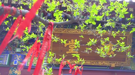 宗教寺庙禅意风景