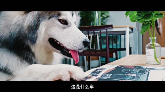 重汽皮卡