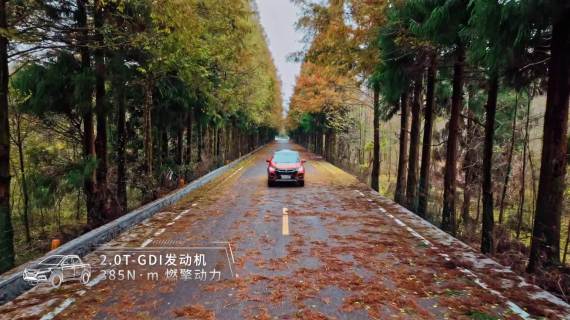 中国重汽乘用车皮卡
