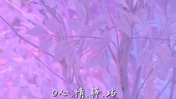 不是相欠，怎会相见