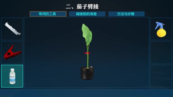 嫁接育苗