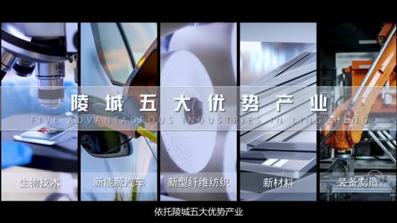 京渤国际陆港三维