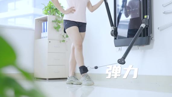 智能训练综合器——ALMEIOA