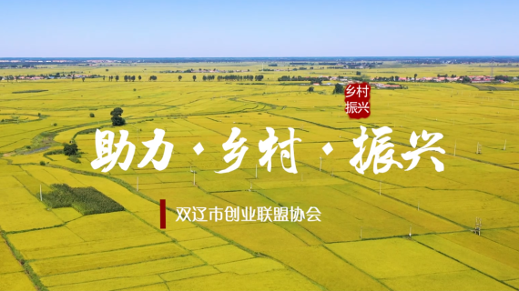 双辽助力乡村振兴—参赛片