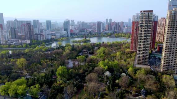 迎泽区青年路五中门口花开
