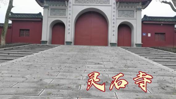 春日户外踏青影视剪辑