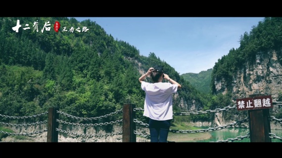 律师_精简版