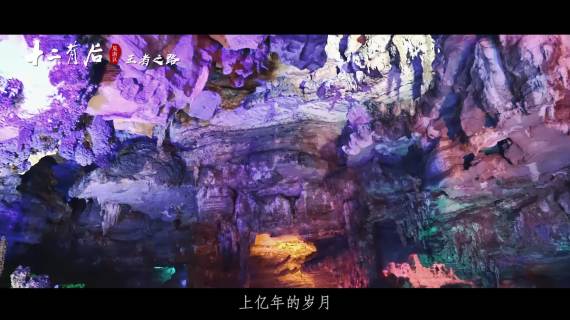 金融分析师_精简版