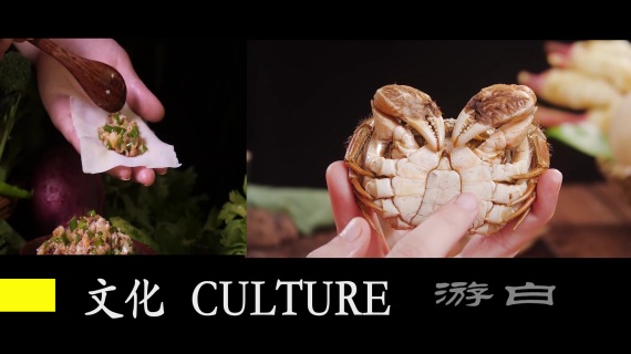 AE后期