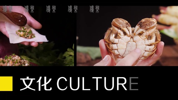 文字的魅力
