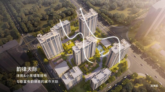 布局精要观小视频