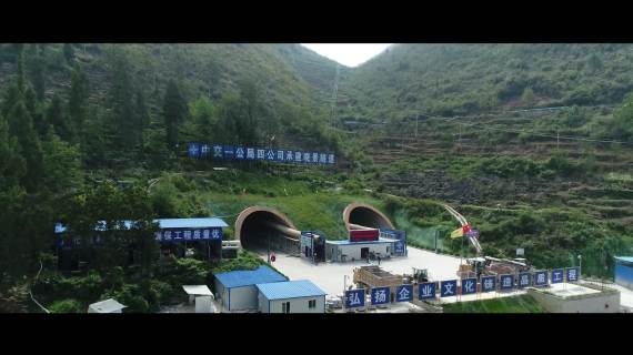沿印松