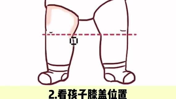 吸粉短视频