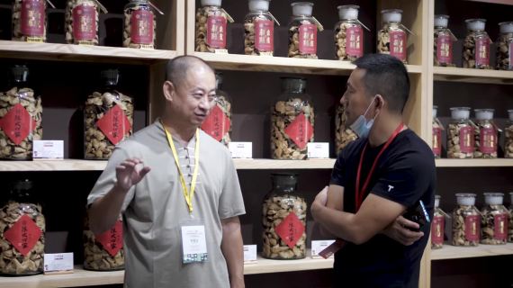 短视频-茶博会