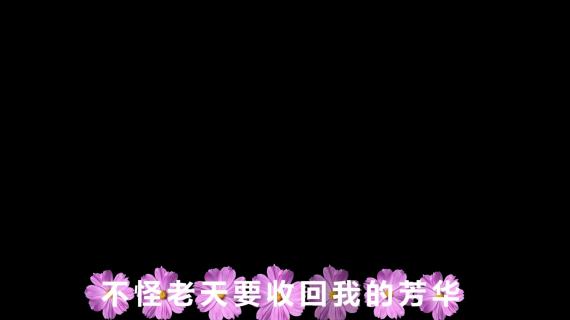 我是你的格桑花