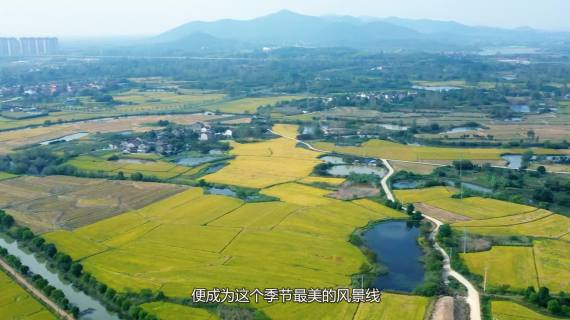 乡村振兴宣传片 乡村
