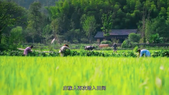 春