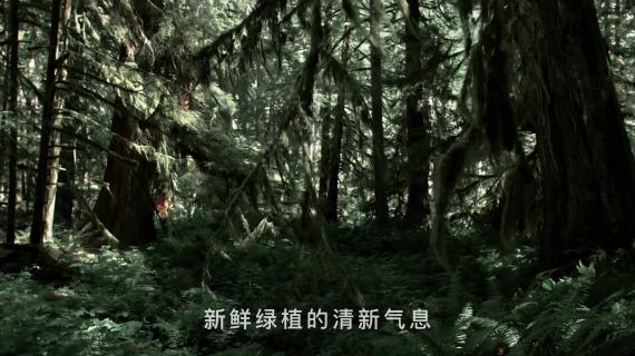沐浴露KOC广告KOL广告TVC广告