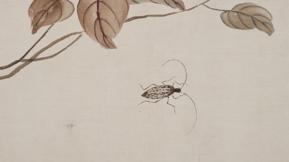 水墨画动态宣传片齐白石《广豳风图》