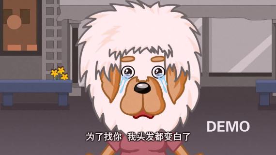 藏红花——藏獒